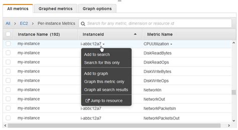 List the available CloudWatch metrics for your instances.